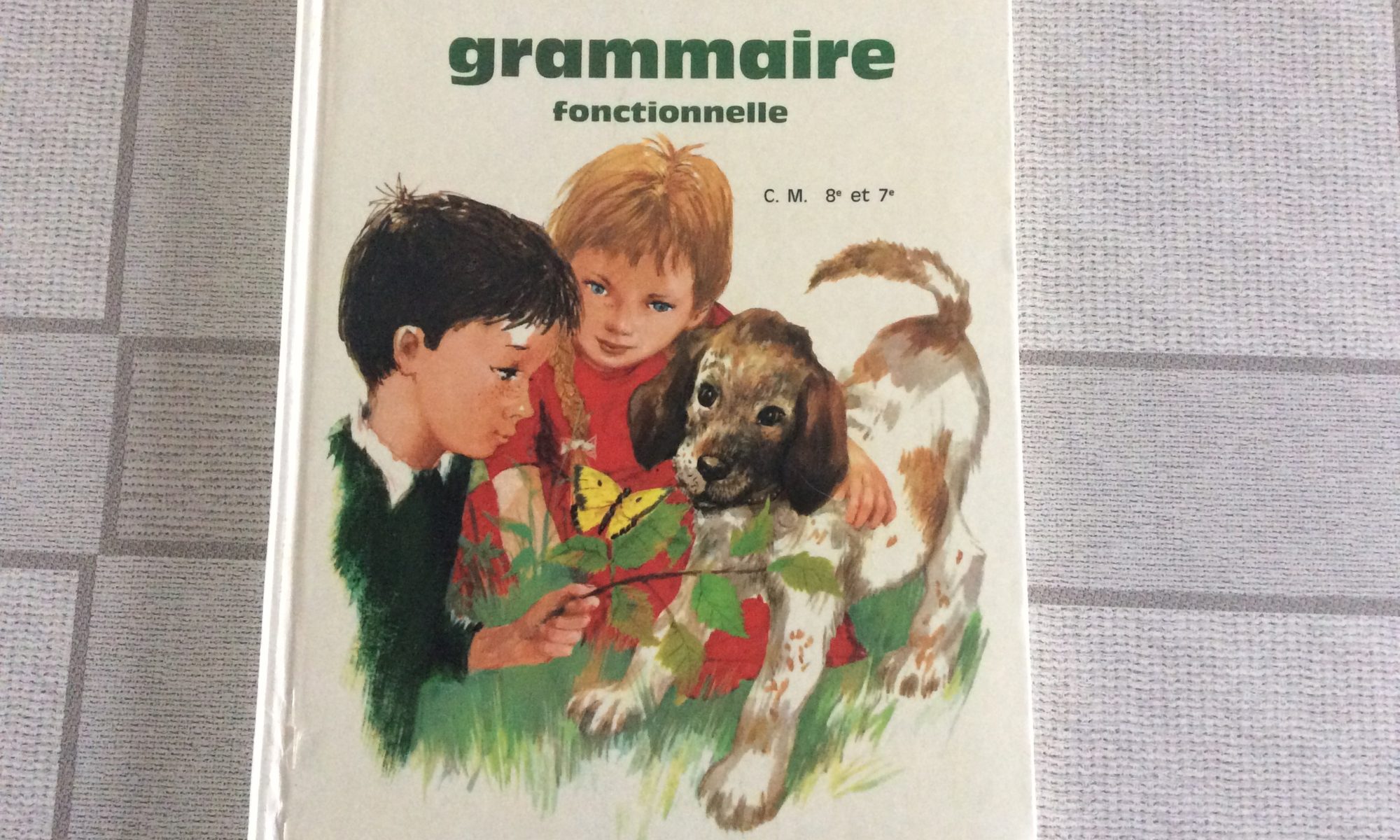 Livre scolaire ancien grammaire fonctionnelle