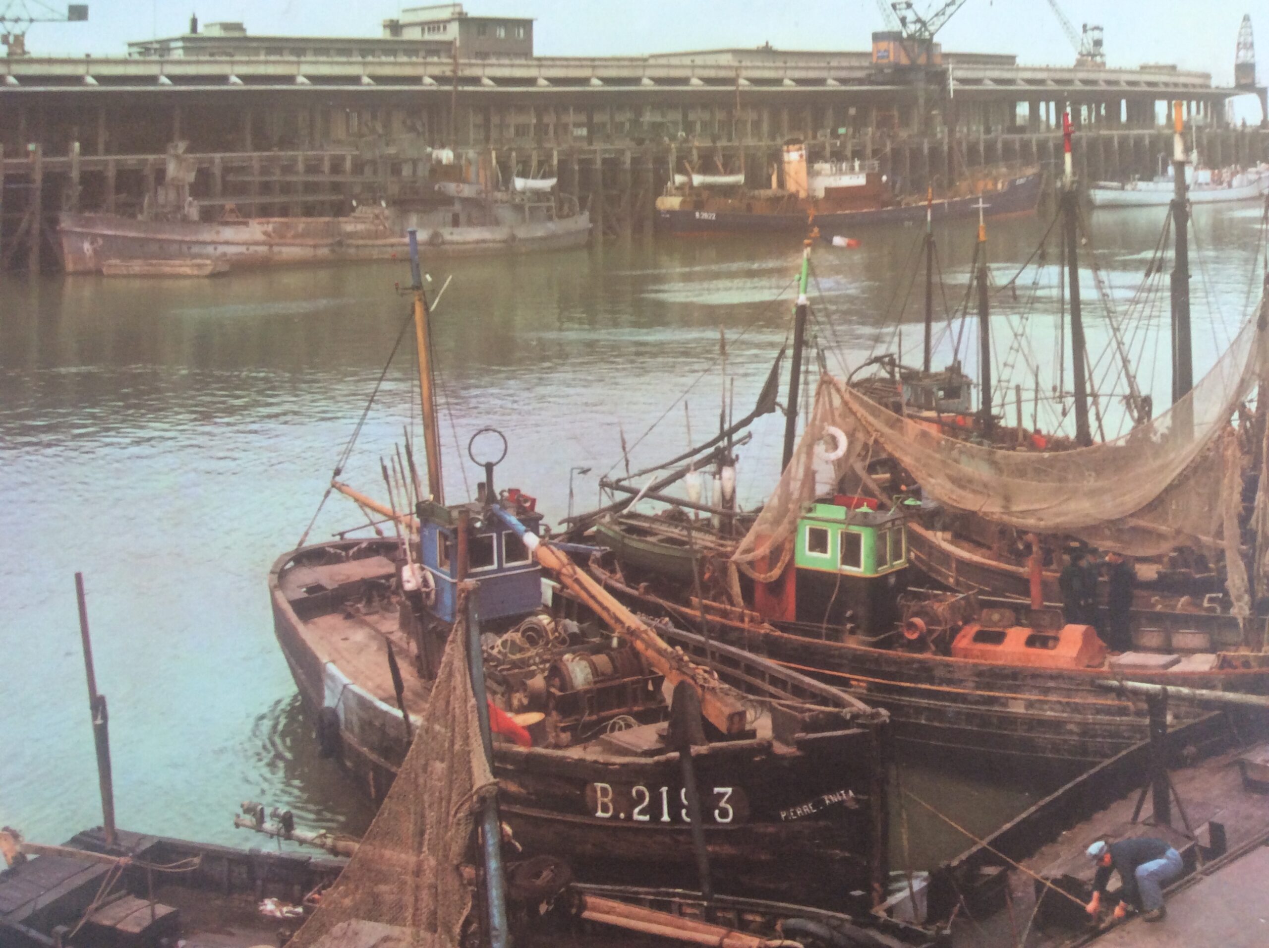 Affiche Scolaire Port de Boulogne sur mer