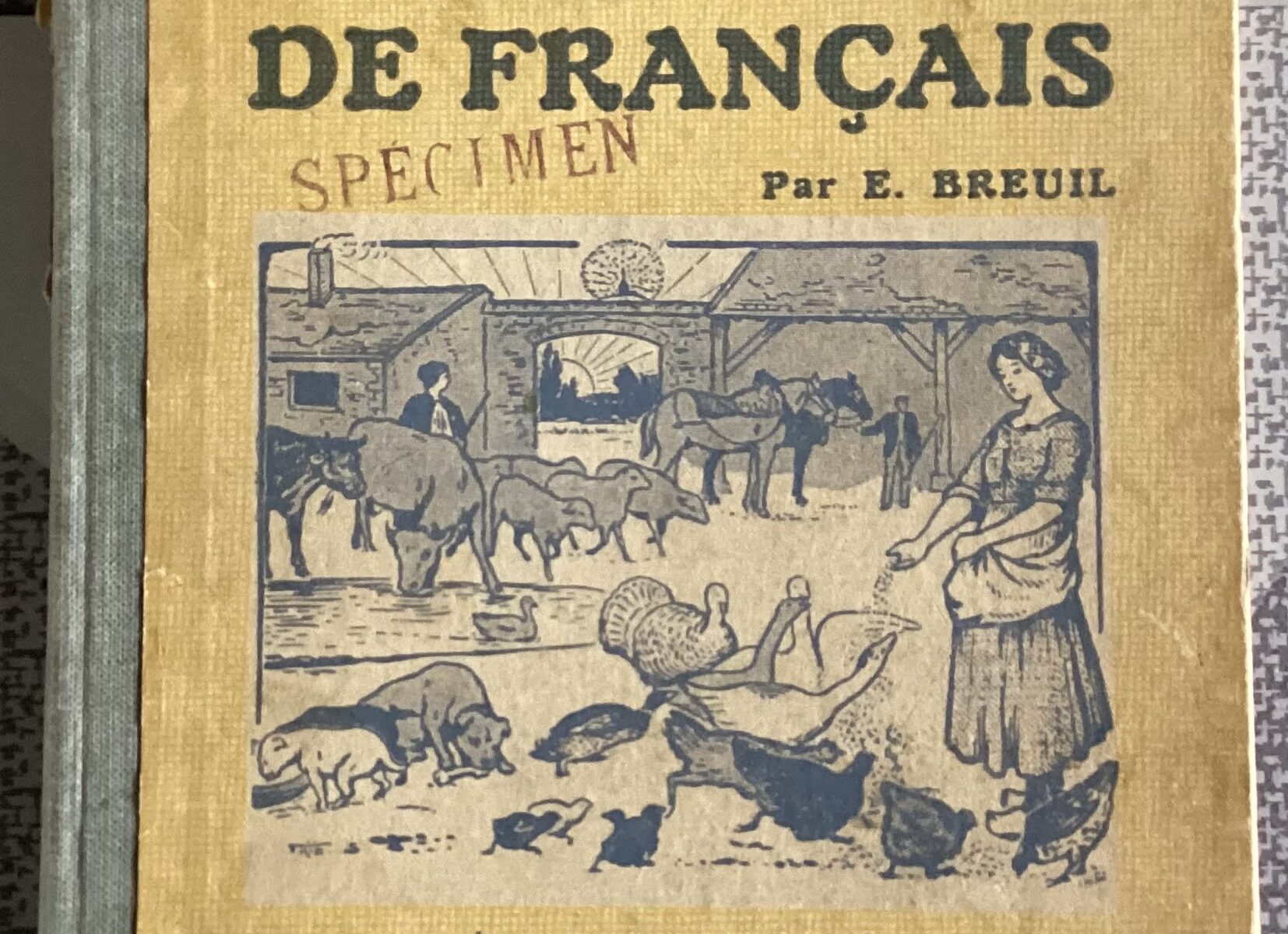 LEÇONS ILLUSTRÉES DE FRANÇAIS